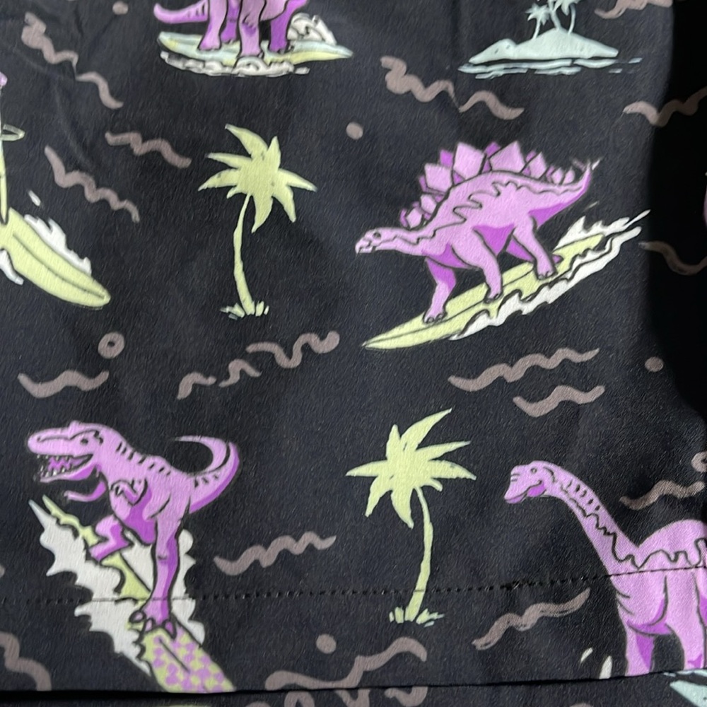 Nwt Chubbies The History Lessons Dino Swimtrunks M - image 3